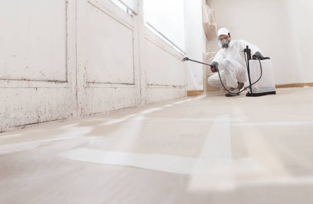 24/7 Emergency Mold Remediation experts in Carrolltown, PA